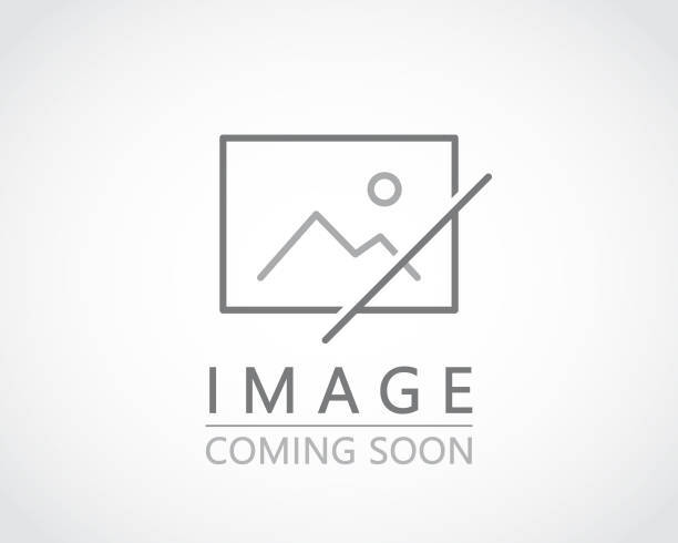 Baxter Dining Chair