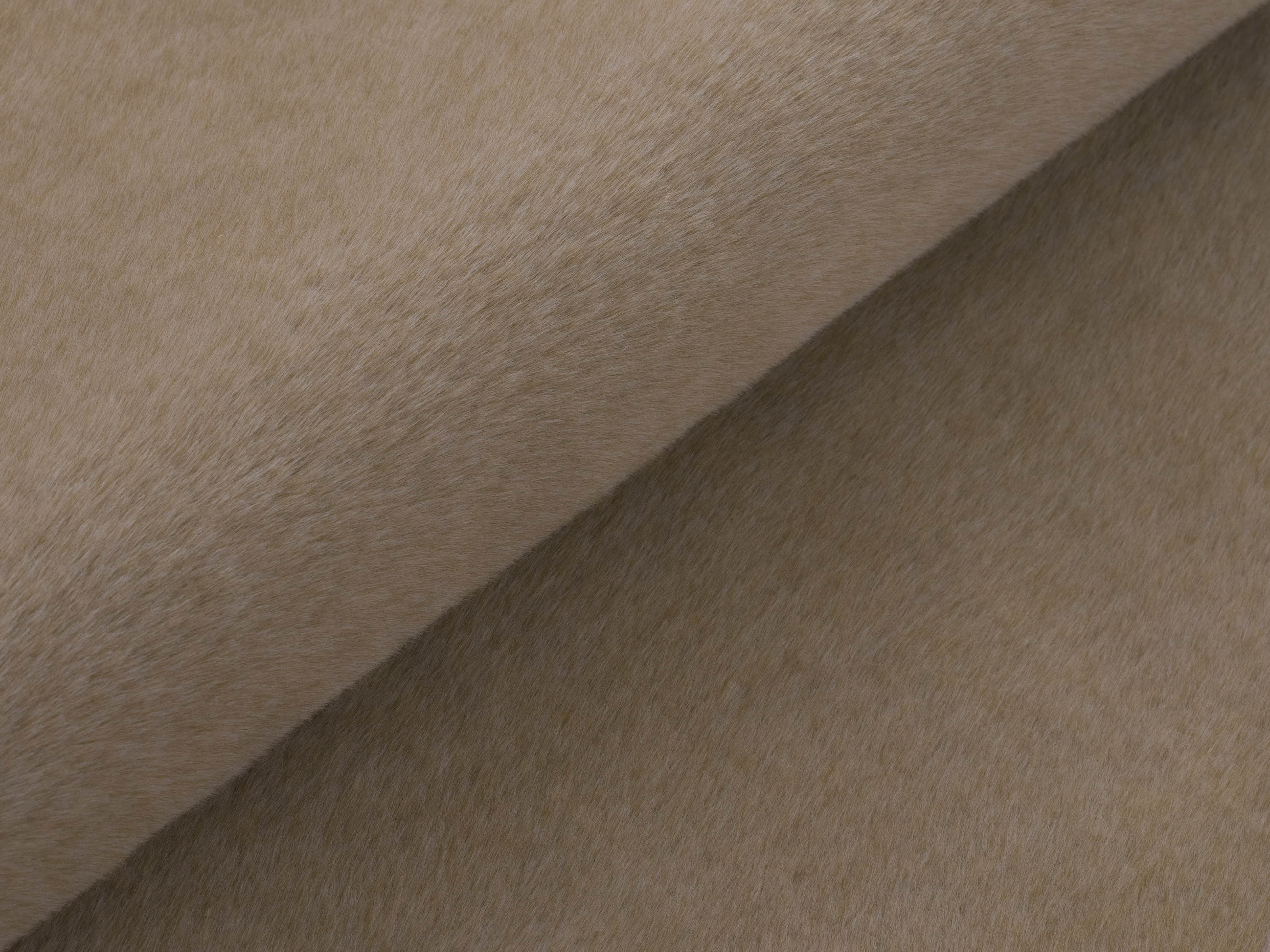 Cachet Latte
